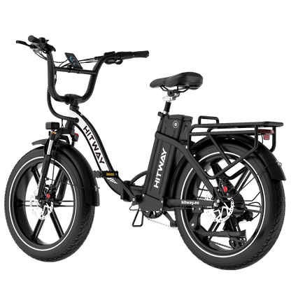 BK6S Pro Folding Electric Bike